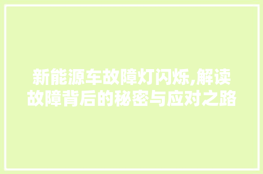 新能源车故障灯闪烁,解读故障背后的秘密与应对之路