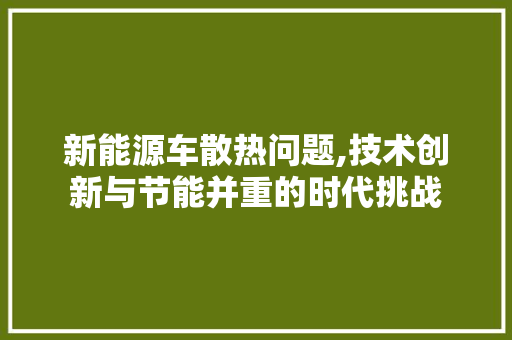 新能源车散热问题,技术创新与节能并重的时代挑战