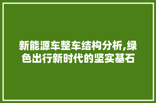 新能源车整车结构分析,绿色出行新时代的坚实基石  第1张