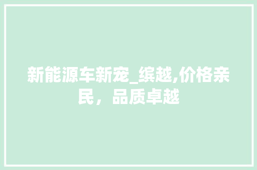 新能源车新宠_缤越,价格亲民，品质卓越