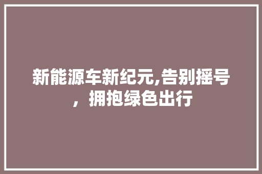 新能源车新纪元,告别摇号，拥抱绿色出行