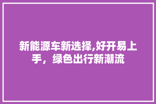 新能源车新选择,好开易上手，绿色出行新潮流