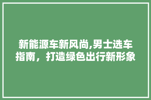 新能源车新风尚,男士选车指南，打造绿色出行新形象