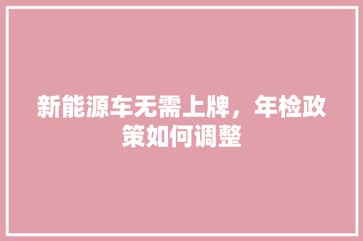 新能源车无需上牌，年检政策如何调整