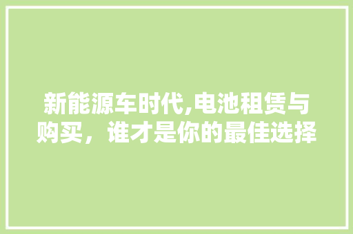 新能源车时代,电池租赁与购买，谁才是你的最佳选择