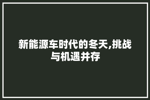 新能源车时代的冬天,挑战与机遇并存