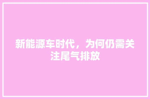 新能源车时代，为何仍需关注尾气排放