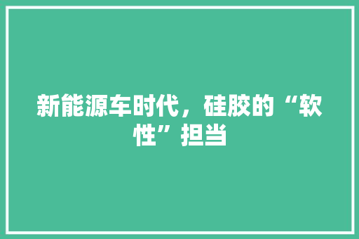 新能源车时代，硅胶的“软性”担当