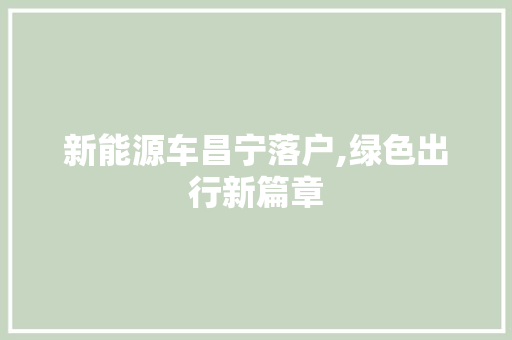 新能源车昌宁落户,绿色出行新篇章