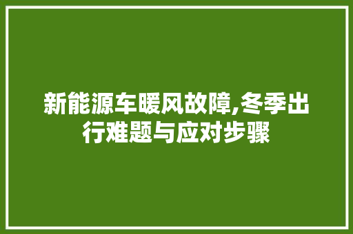 新能源车暖风故障,冬季出行难题与应对步骤