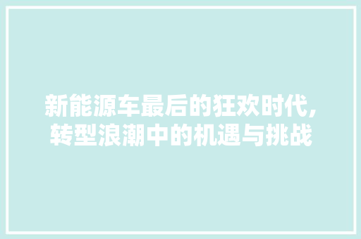 新能源车最后的狂欢时代,转型浪潮中的机遇与挑战