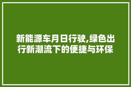 新能源车月日行驶,绿色出行新潮流下的便捷与环保