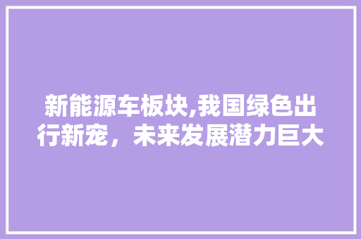 新能源车板块,我国绿色出行新宠，未来发展潜力巨大