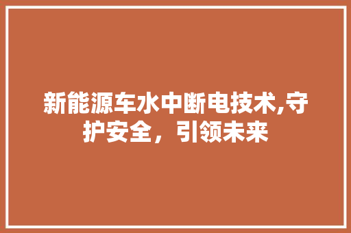 新能源车水中断电技术,守护安全，引领未来