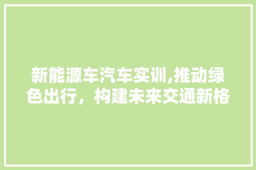 新能源车汽车实训,推动绿色出行，构建未来交通新格局