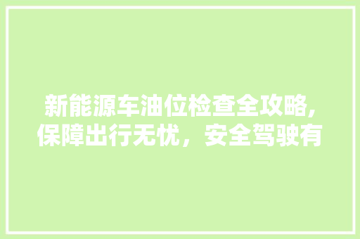 新能源车油位检查全攻略,保障出行无忧，安全驾驶有保障