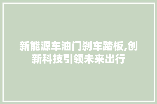 新能源车油门刹车踏板,创新科技引领未来出行