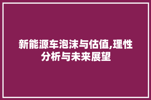 新能源车泡沫与估值,理性分析与未来展望