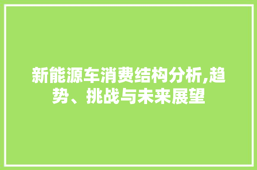 新能源车消费结构分析,趋势、挑战与未来展望