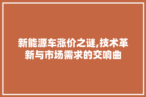 新能源车涨价之谜,技术革新与市场需求的交响曲