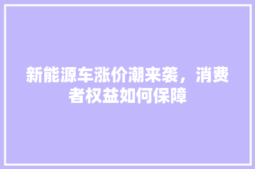 新能源车涨价潮来袭，消费者权益如何保障