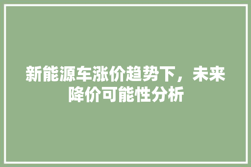 新能源车涨价趋势下，未来降价可能性分析