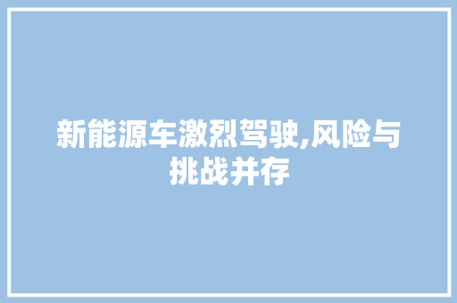 新能源车激烈驾驶,风险与挑战并存