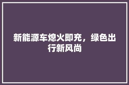 新能源车熄火即充，绿色出行新风尚