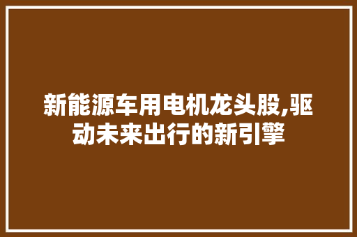 新能源车用电机龙头股,驱动未来出行的新引擎