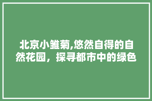 北京小雏菊,悠然自得的自然花园，探寻都市中的绿色秘境