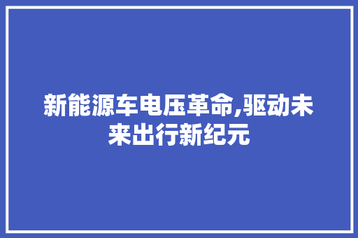 新能源车电压革命,驱动未来出行新纪元