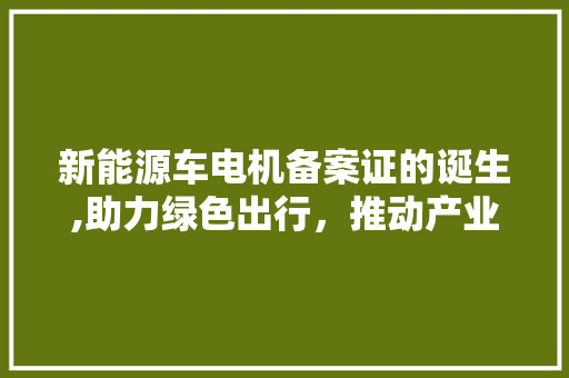 新能源车电机备案证的诞生,助力绿色出行，推动产业发展