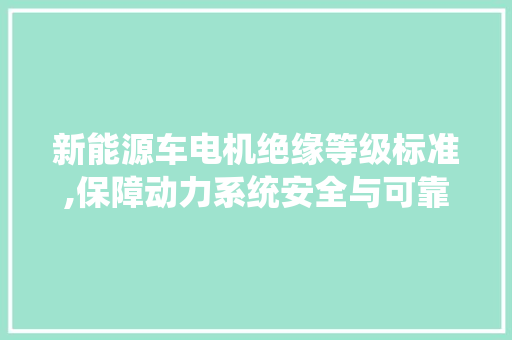 新能源车电机绝缘等级标准,保障动力系统安全与可靠