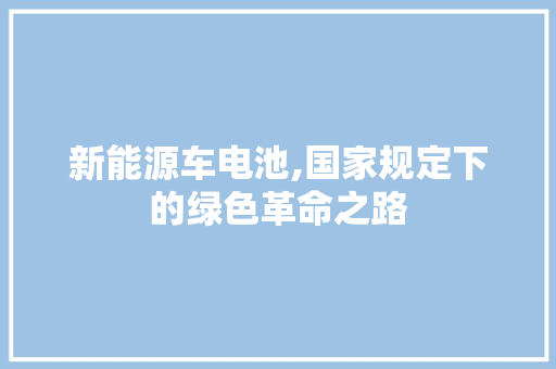 新能源车电池,国家规定下的绿色革命之路