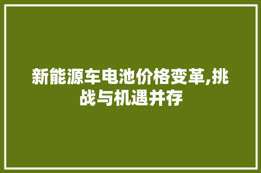 新能源车电池价格变革,挑战与机遇并存