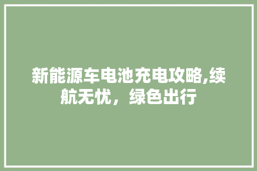 新能源车电池充电攻略,续航无忧，绿色出行