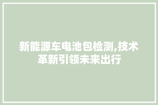 新能源车电池包检测,技术革新引领未来出行  第1张