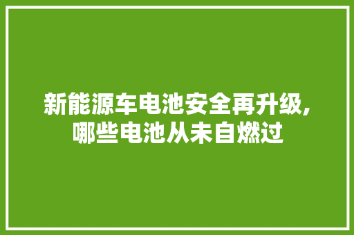 新能源车电池安全再升级,哪些电池从未自燃过