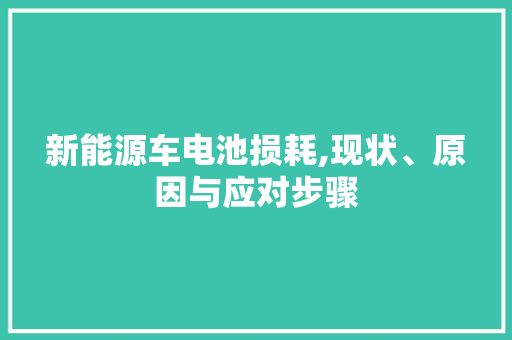 新能源车电池损耗,现状、原因与应对步骤