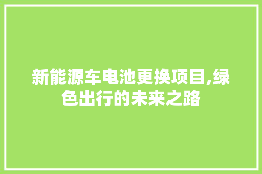 新能源车电池更换项目,绿色出行的未来之路