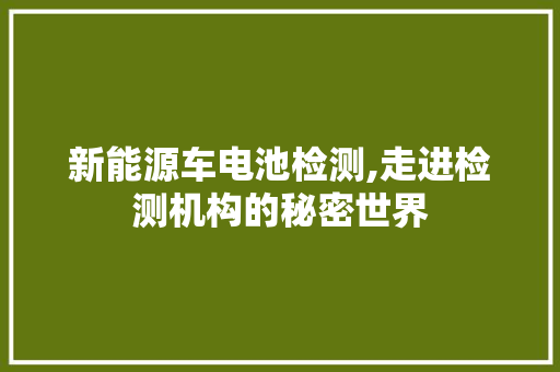 新能源车电池检测,走进检测机构的秘密世界