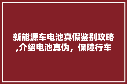 新能源车电池真假鉴别攻略,介绍电池真伪，保障行车安全