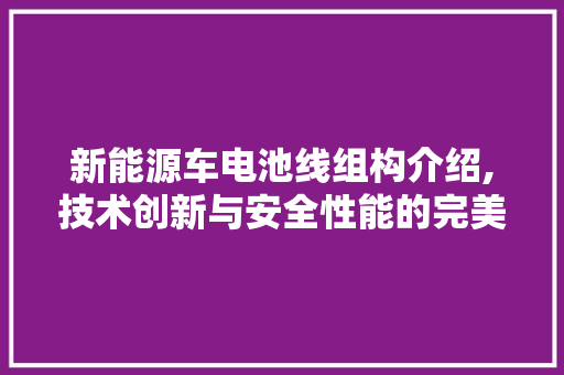 新能源车电池线组构介绍,技术创新与安全性能的完美融合