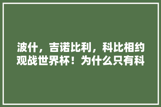 波什，吉诺比利，科比相约观战世界杯！为什么只有科比不用带入场证？就凭这张脸吗，世界旅游大使全球总决赛李慧。