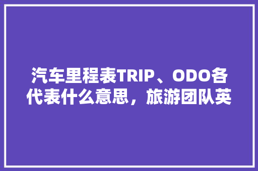 汽车里程表TRIP、ODO各代表什么意思，旅游团队英语。