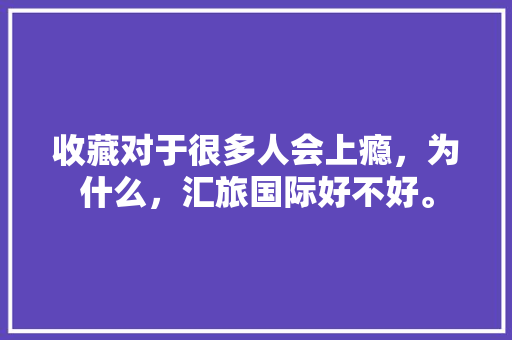 收藏对于很多人会上瘾，为什么，汇旅国际好不好。