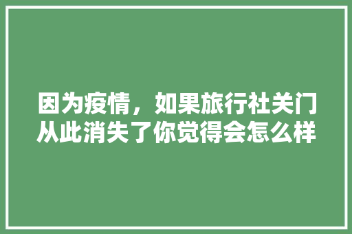 因为疫情，如果旅行社关门从此消失了你觉得会怎么样，旅游关门企业有哪些。