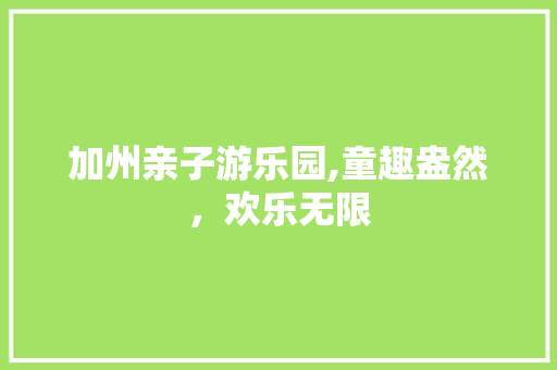 加州亲子游乐园,童趣盎然，欢乐无限