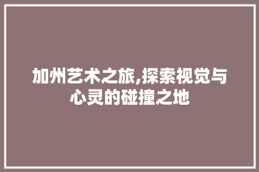 加州艺术之旅,探索视觉与心灵的碰撞之地