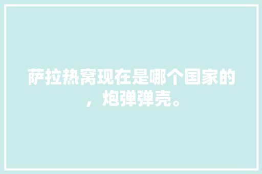 萨拉热窝现在是哪个国家的，炮弹弹壳。